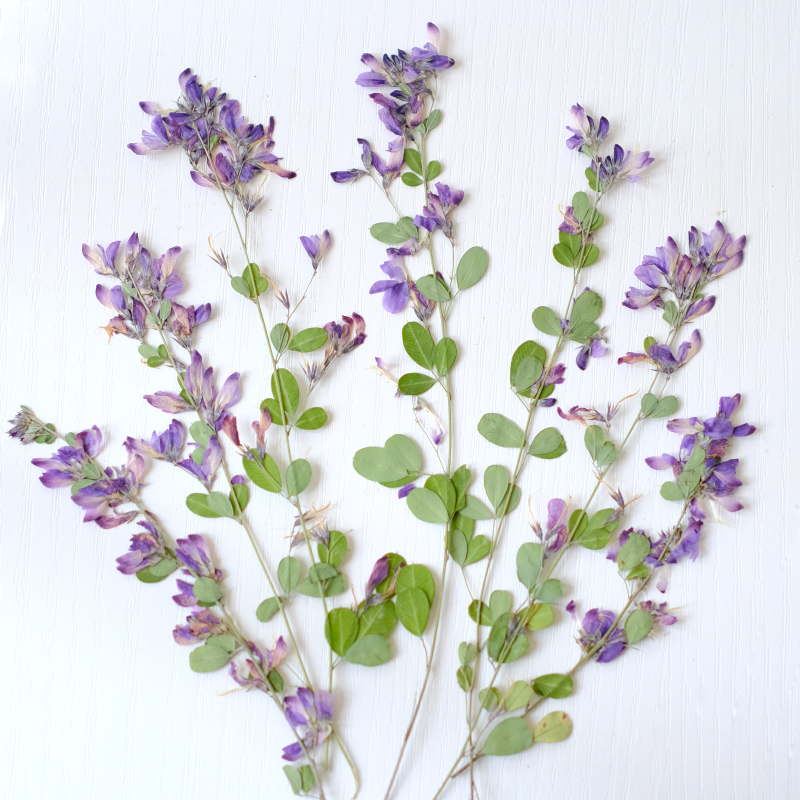 Resin Art Baby - 6pcs,nature Lespedeza Formosa Dried Pressed Flowers,Plant