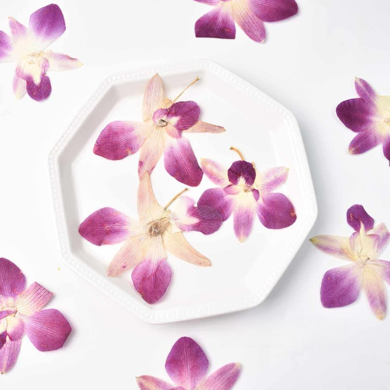 Resin Art Baby - 4pcs,Real Pressed Butterfly Orchid Flowers DIY