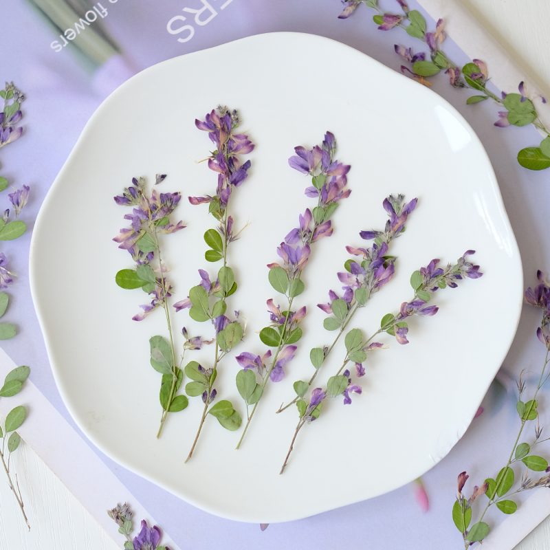 6pcs,nature Lespedeza Formosa  - Resin Art Baby review and price