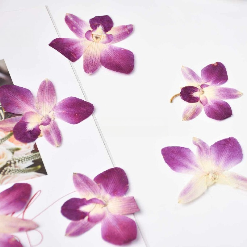 4pcs,Real Pressed Butterfly Or - Resin Art Baby review and price