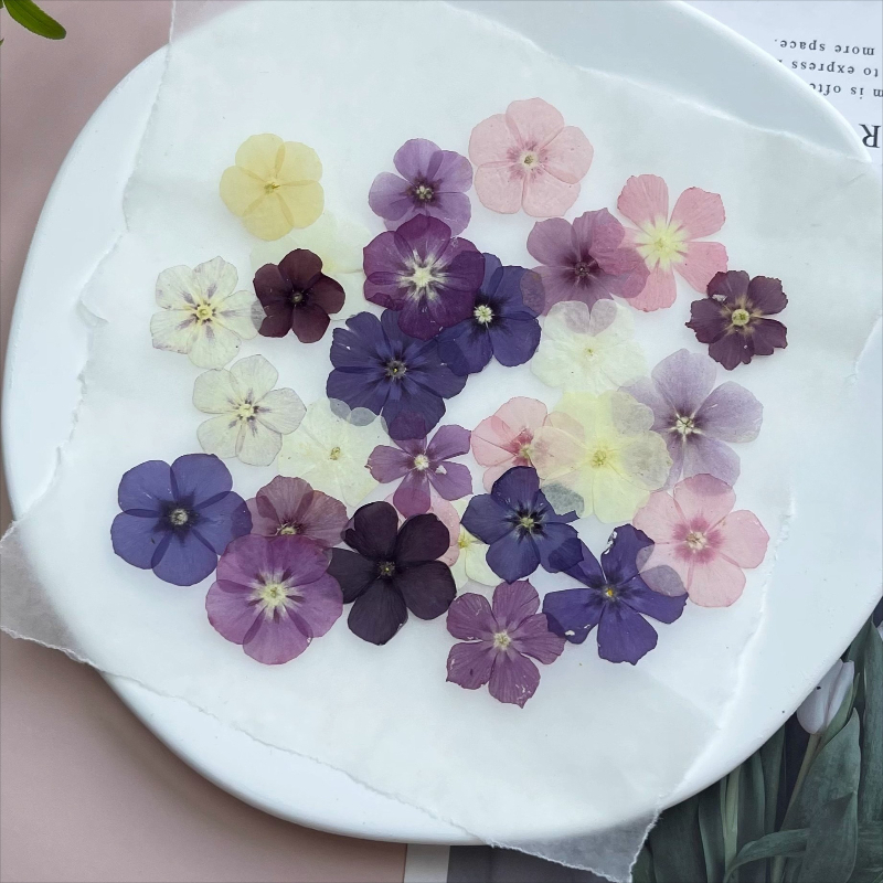 12pcs,Semi-Transparent Niche P - Resin Art Baby review and price