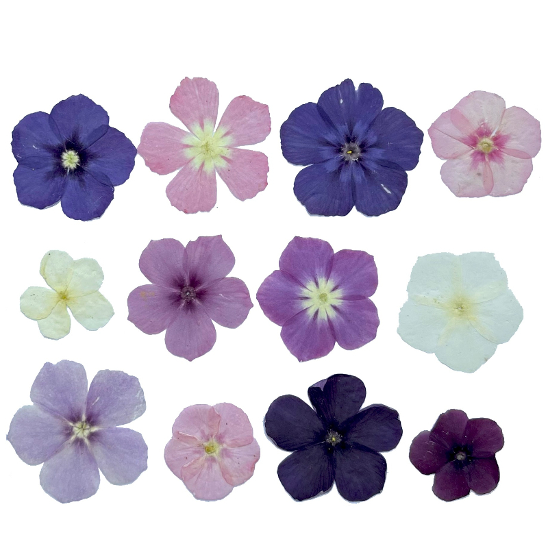 12pcs,Semi-Transparent Niche P - Resin Art Baby review and price